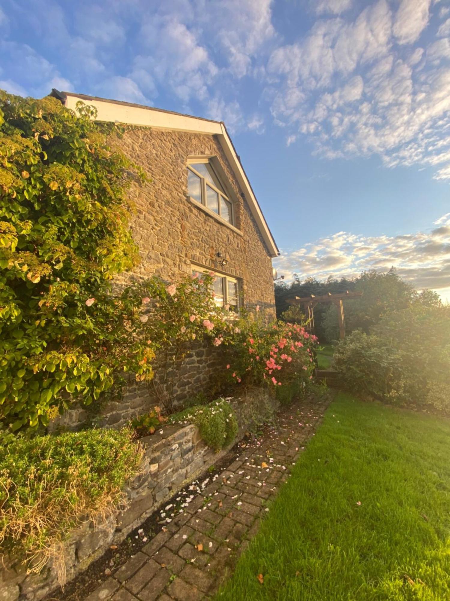 Llanwrda Pippin Lodge מראה חיצוני תמונה