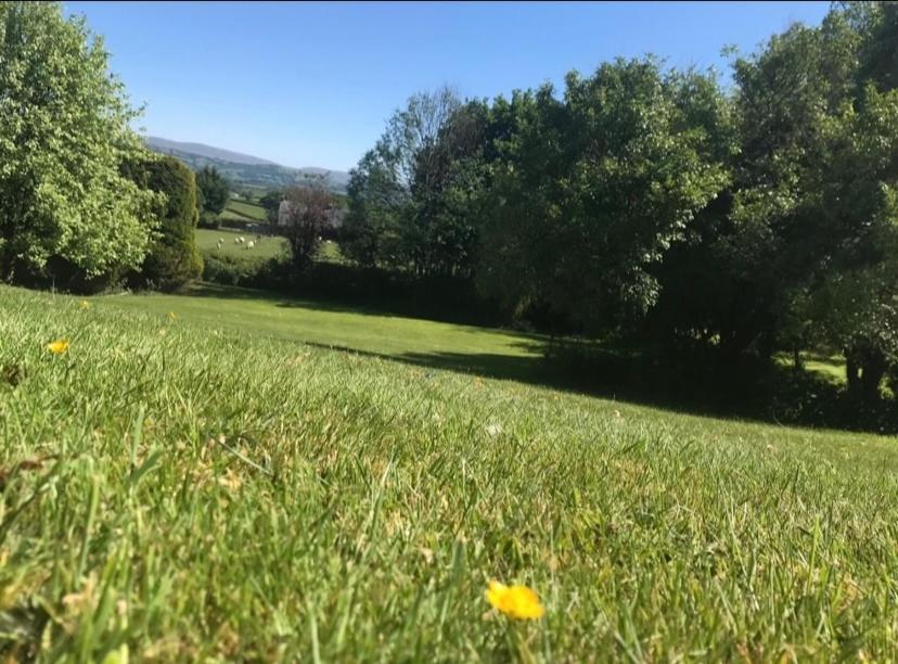 Llanwrda Pippin Lodge מראה חיצוני תמונה
