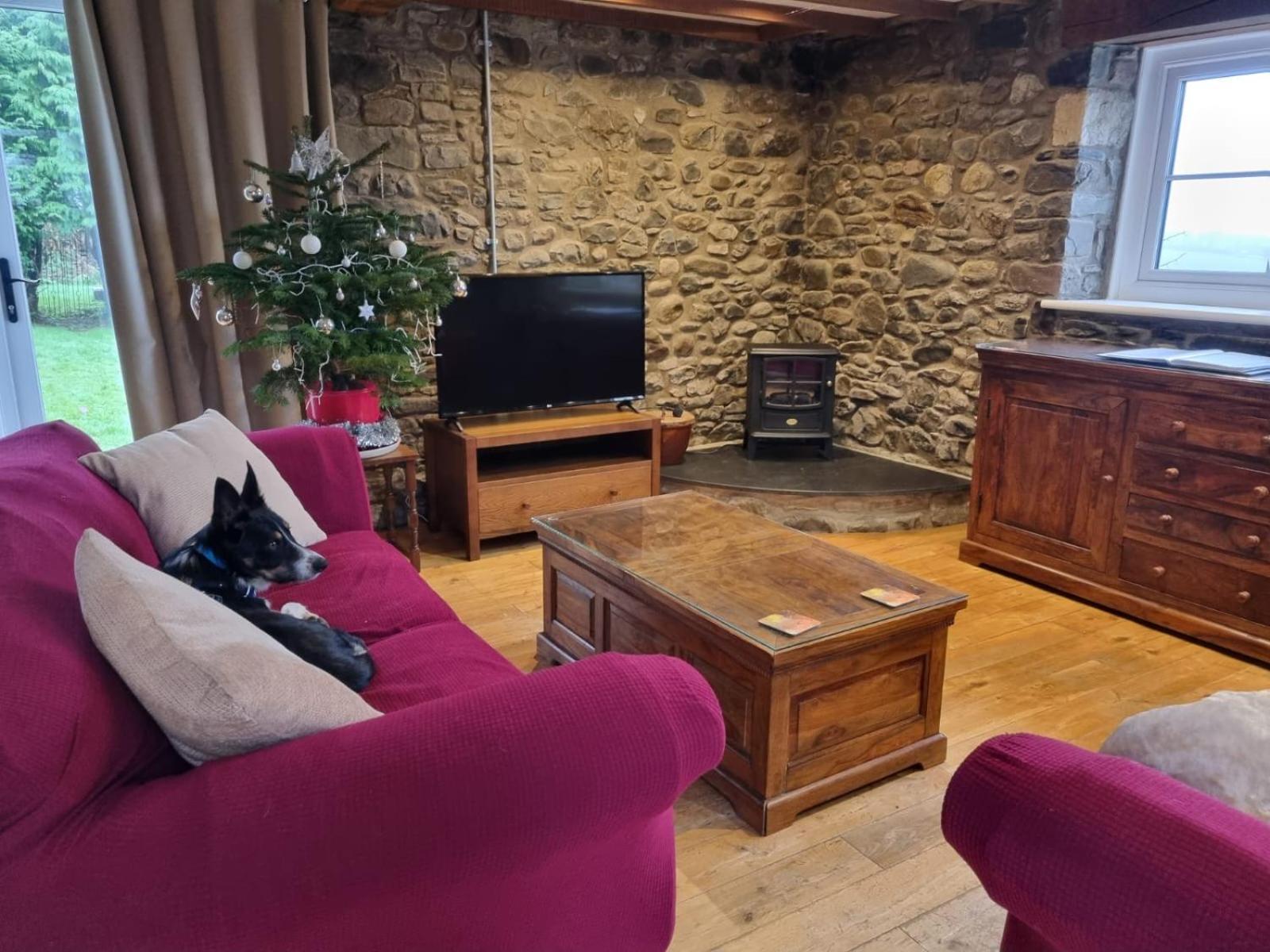 Llanwrda Pippin Lodge מראה חיצוני תמונה